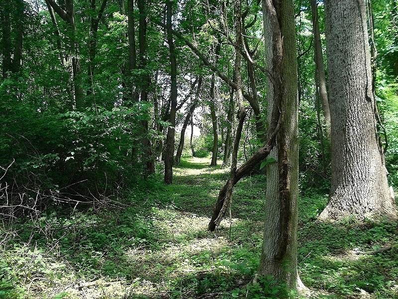 https://bt-photos.global.ssl.fastly.net/gsmls/orig_boomver_1_4032673-2.jpg