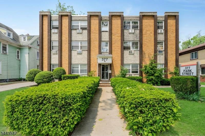 377 Park St - Photo 1