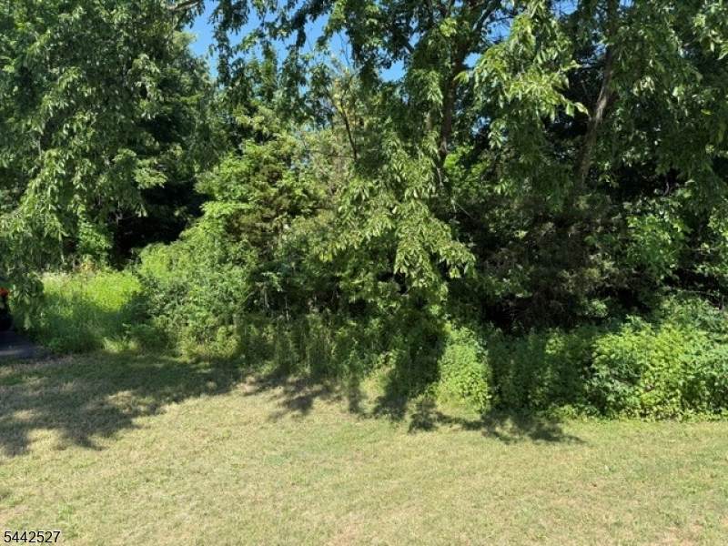 50 Dekalb St - Photo 1