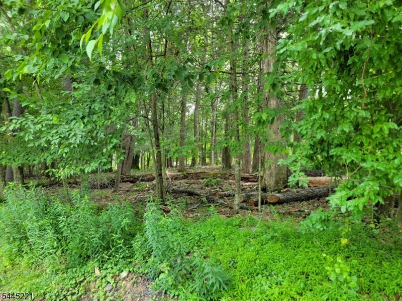 231 Old Chimney Ridge Rd - Photo 1