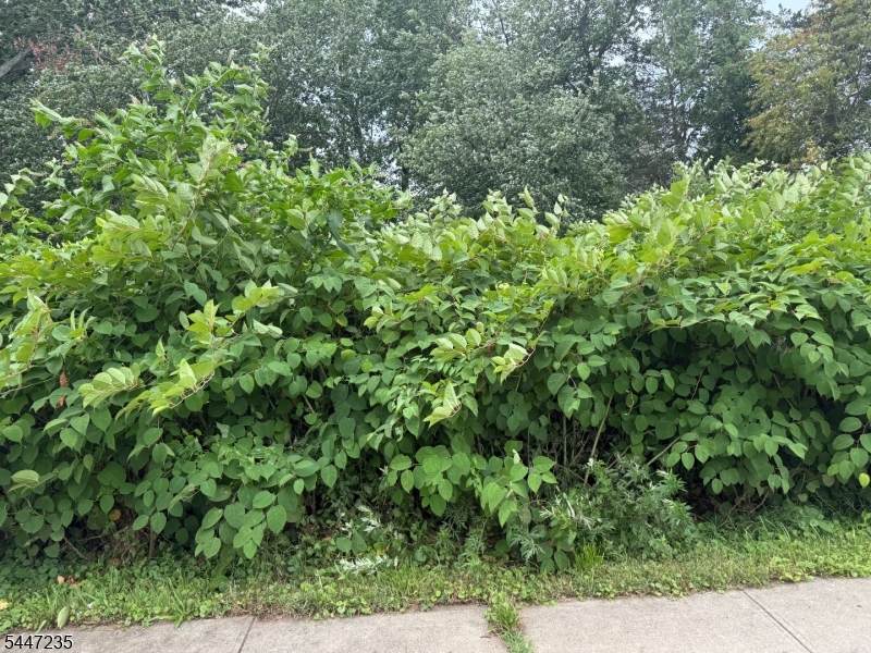 1110 Walnut St - Photo 1