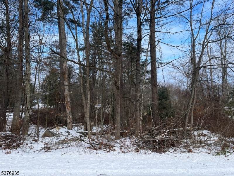 260 Old Chimney Ridge Rd - Photo 1