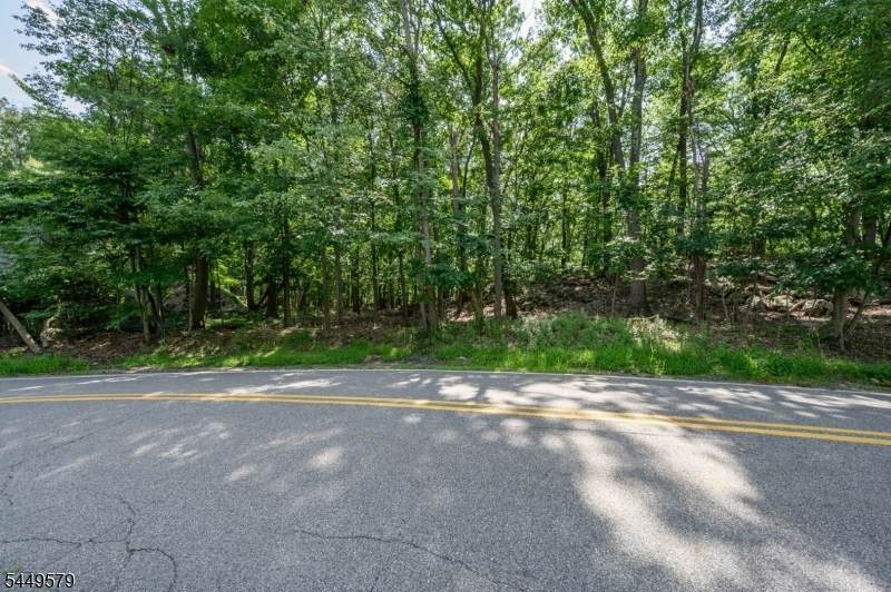 782 Brooklyn Mountain Rd - Photo 1
