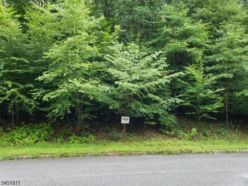 5 Settlers Ridge Ct - Photo 1
