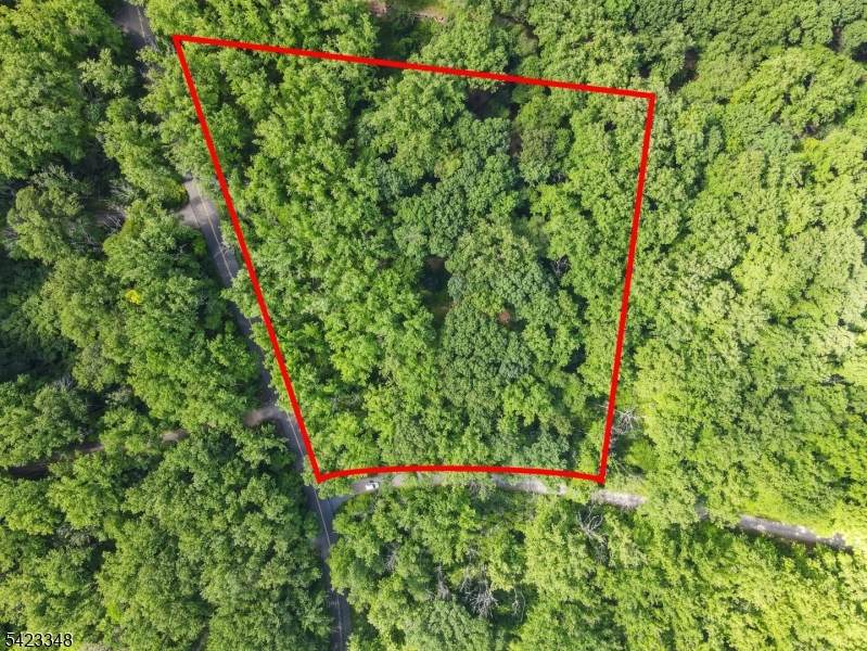 160 Jockey Hollow Rd - Photo 1