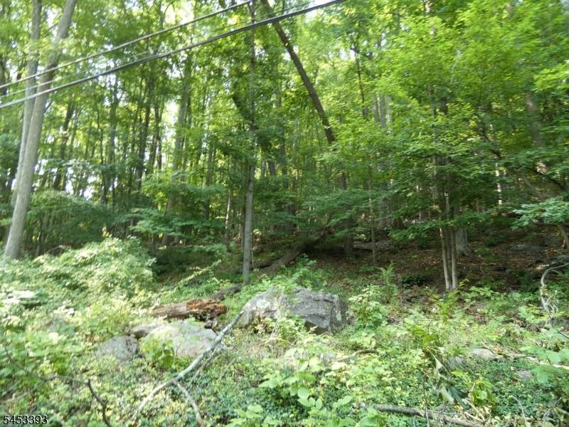 20 Sawmill Rd - Photo 1
