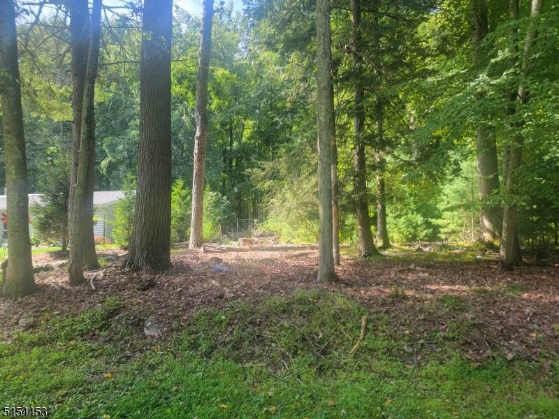 356 Rolling Ridge Rd - Photo 1