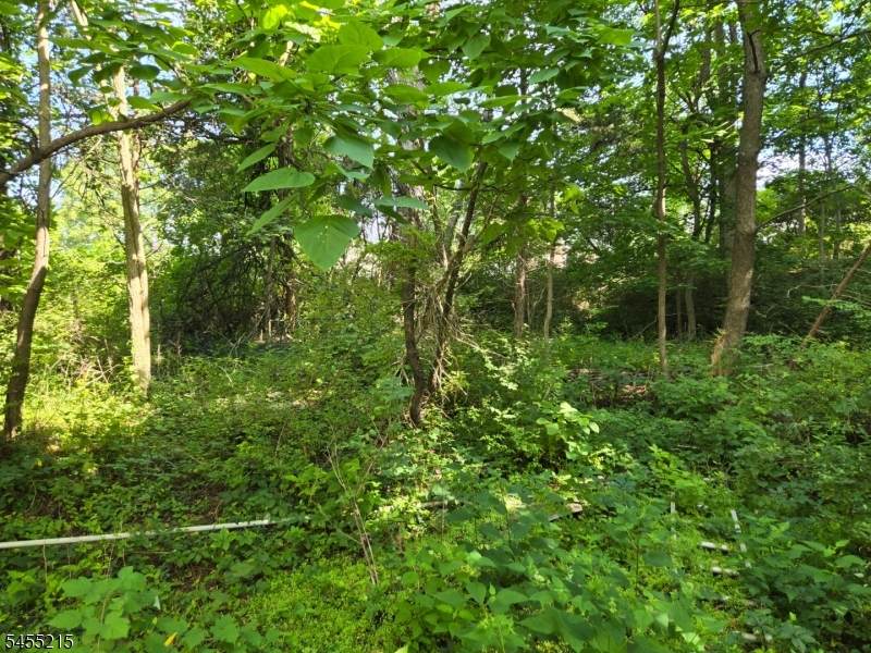 2 Hewlett Rd - Photo 1