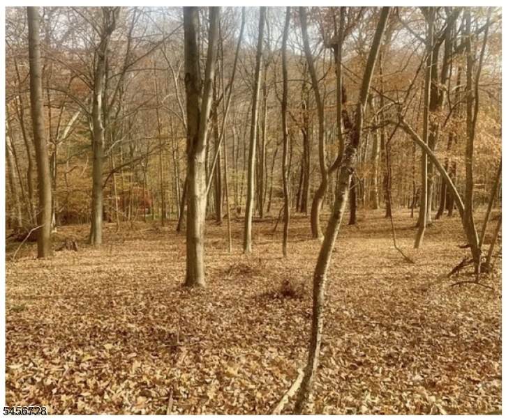 85 Cherryville Hollow Rd - Photo 1