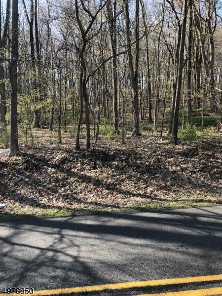 39 Russling Rd - Photo 1