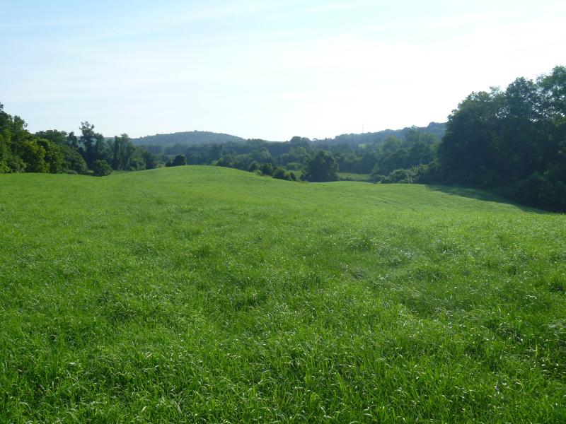 444 Route 94 - Photo 1