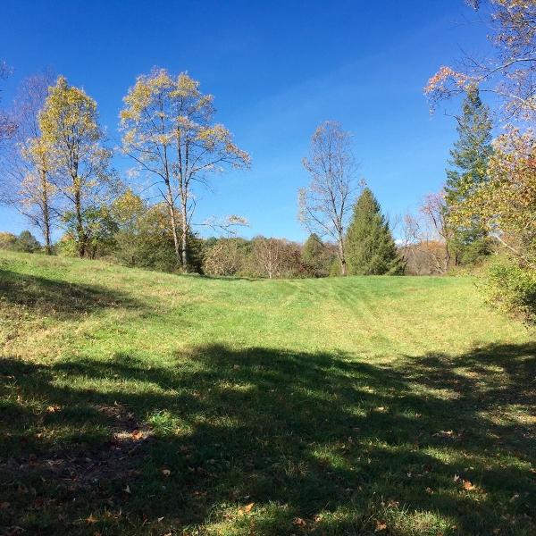 0 Lower Unionville Rd - Photo 1