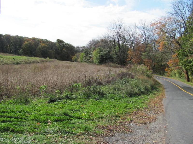 0 Creek Rd - Photo 1