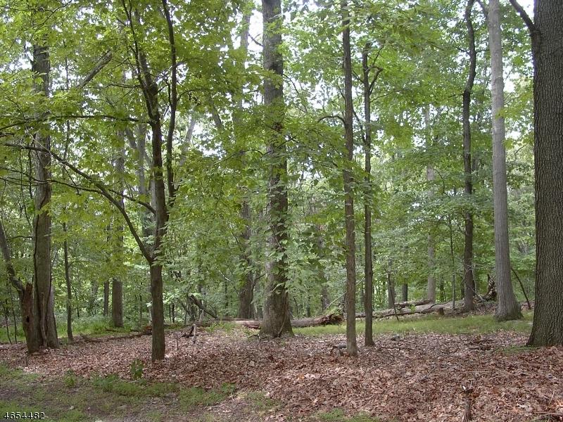 8 Heather Hl, Rd - Photo 1