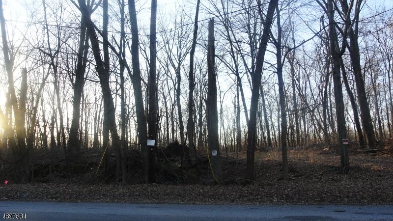 100 State Park Rd - Photo 1