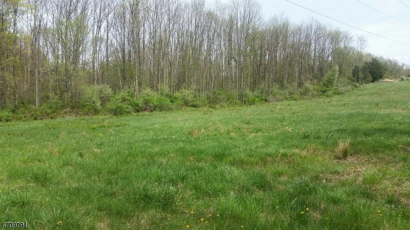 49 Koeck Rd - Photo 1