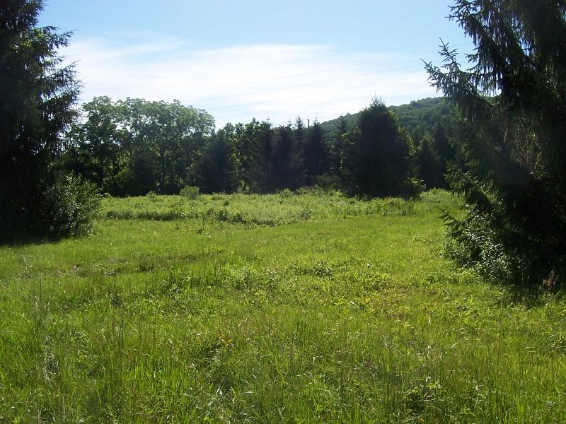 50 County Hwy-639 - Photo 1