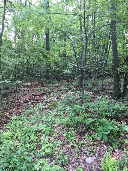 0 Morsetown Rd - Photo 1