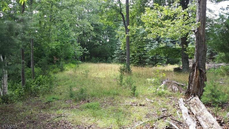 150 Paint Island Spr Rd - Photo 1