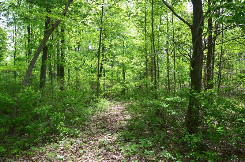 0 Dennis Rd - Photo 1