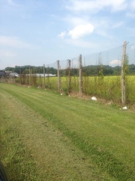 216 Route 206 - Photo 1