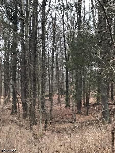 20 Bills Ln - Photo 1