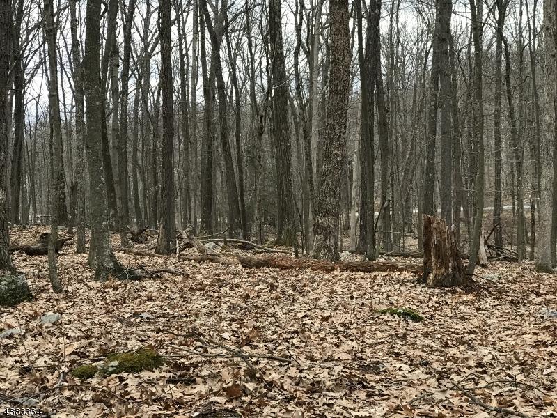 8 Oak Ridge Rd - Photo 1