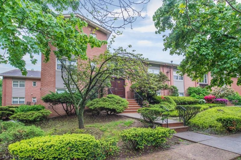 29 Up Mountain Ave - Photo 1