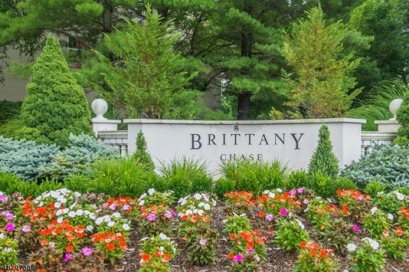 8008 Brittany Dr - Photo 1