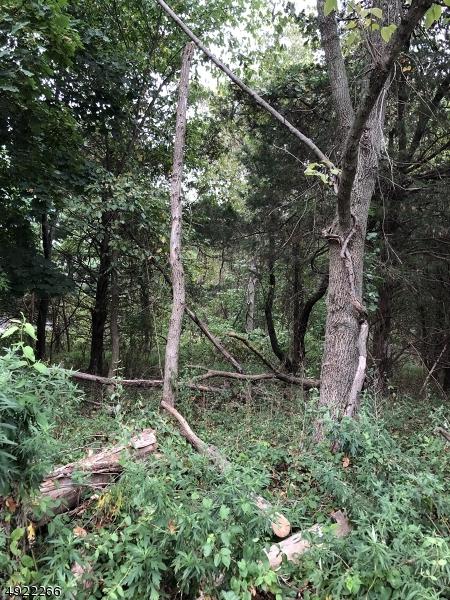 0 Hollow Rd - Photo 1