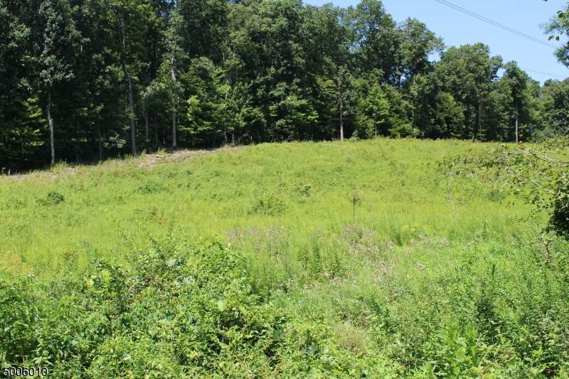 28 Mine Hill Rd - Photo 1