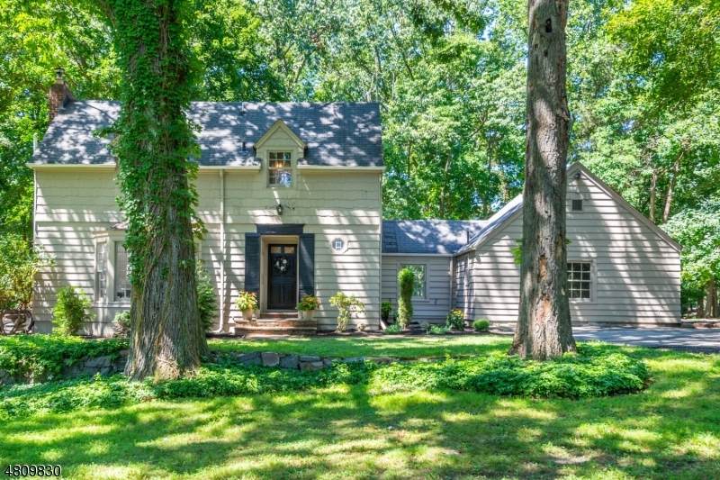 58 Basswood Ter - Photo 1
