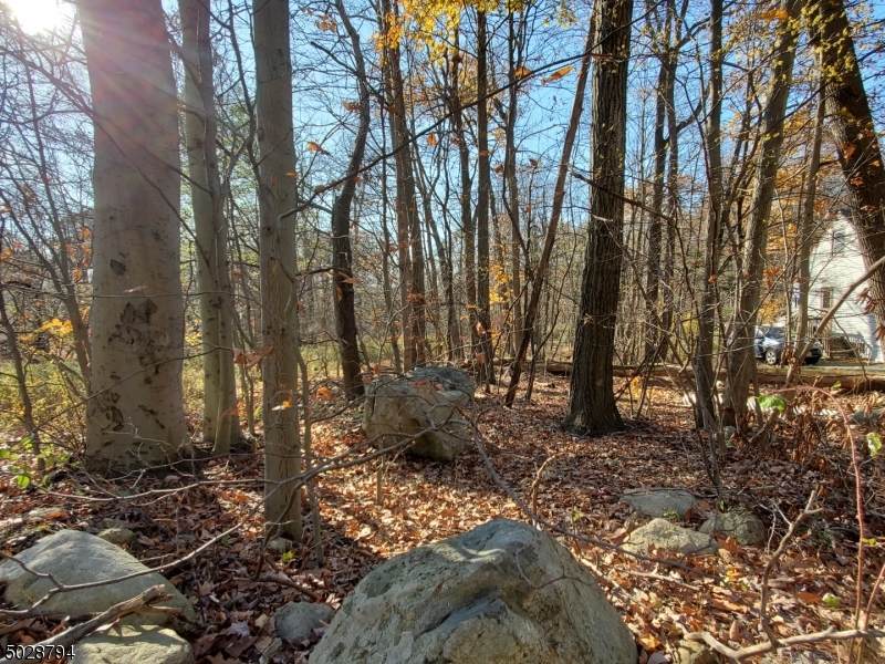 50 Kynor Ave - Photo 1