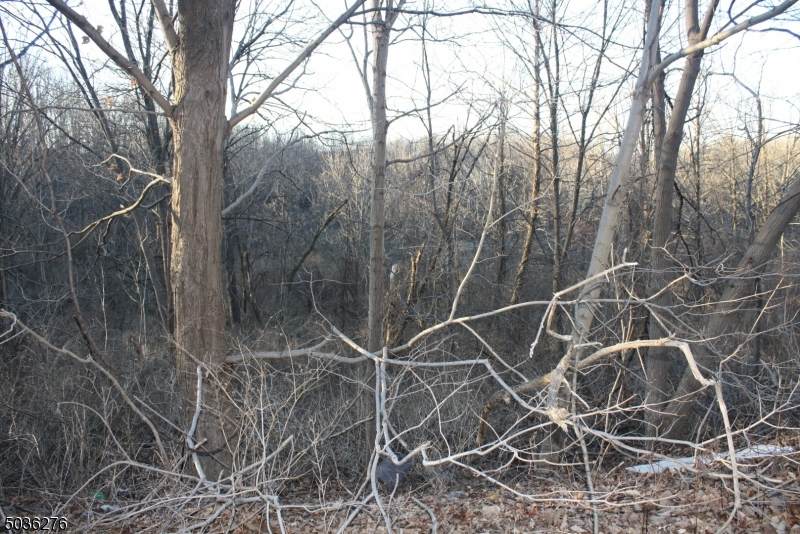 359 Scott Rd - Photo 1