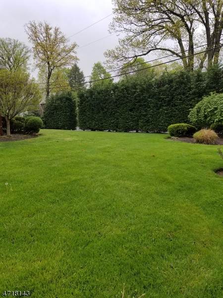 905 Salem Ave - Photo 1