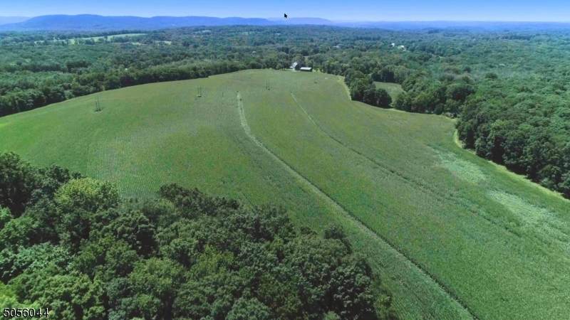 201 Kerrs Corner Rd - Photo 1