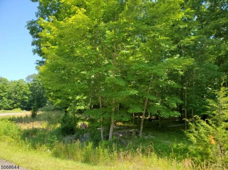 8 Eileens Way - Photo 1