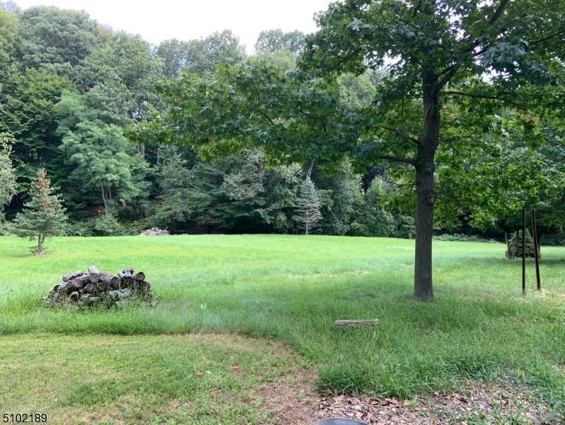 1007 Sussex Tpke - Photo 1