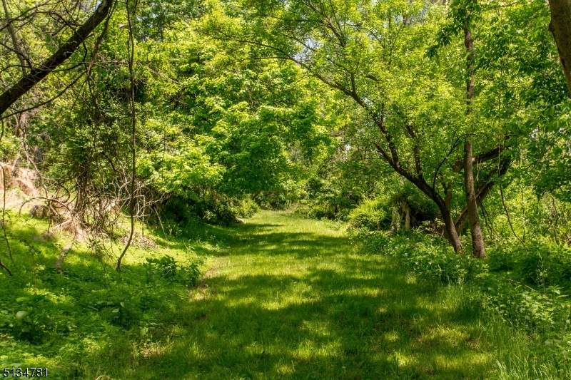 0 Long View Road - Photo 1