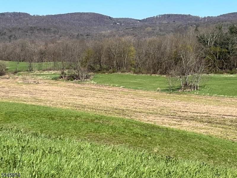 0 Lower Unionville Rd - Photo 1