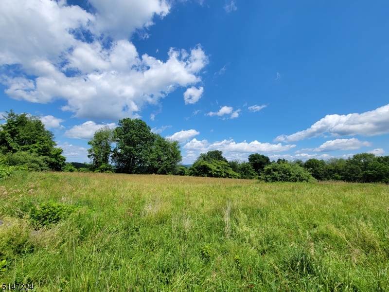 101 Rose Morrow Rd - Photo 1