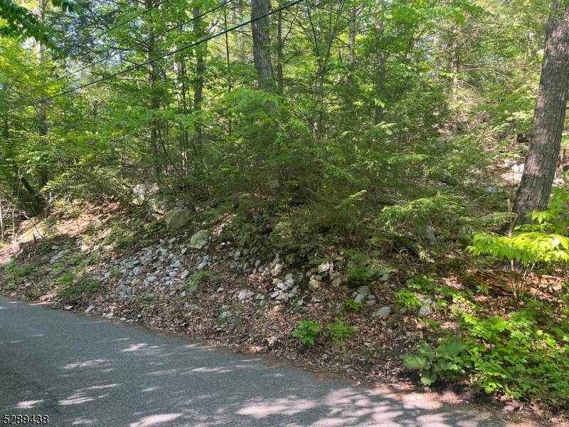 0 Fairlawn Dr - Photo 1