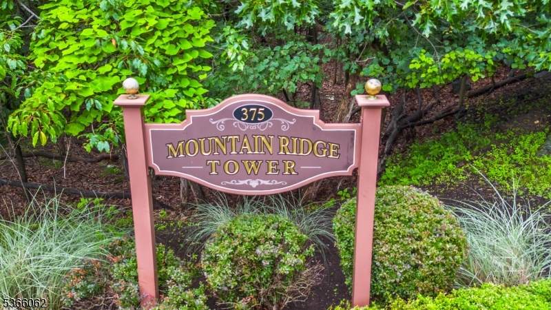 375 Rifle Camp Rd - Photo 1
