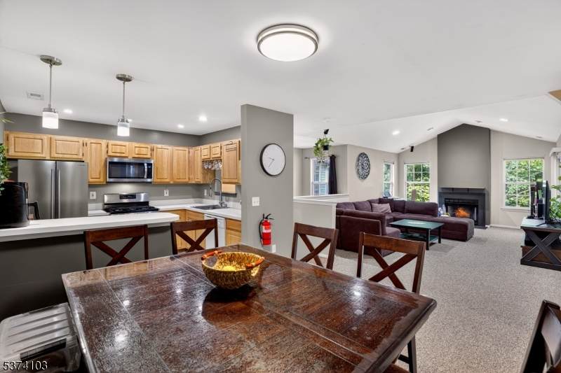 231 Vasser Dr - Photo 1