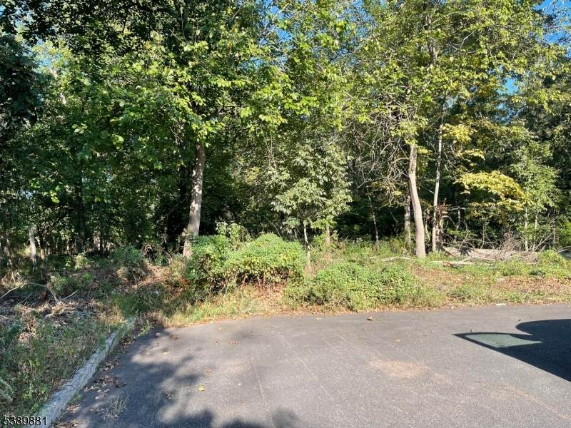 76 Woodland Rd - Photo 1