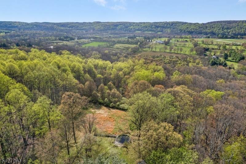 81 Turtleback Road - Photo 1