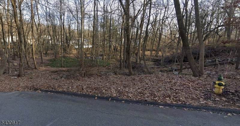 25 Budd Ave - Photo 1