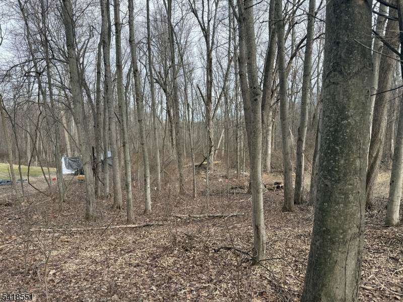 36 Countryside Rd - Photo 1