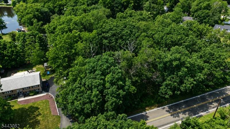 559 Green Pond Rd - Photo 1