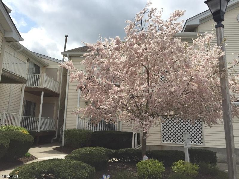 38 Potomac Dr - Photo 1